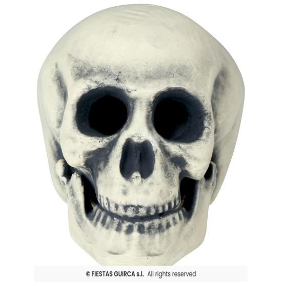 Caveira de Espuma 32 cm – Decoração Realista de Halloween