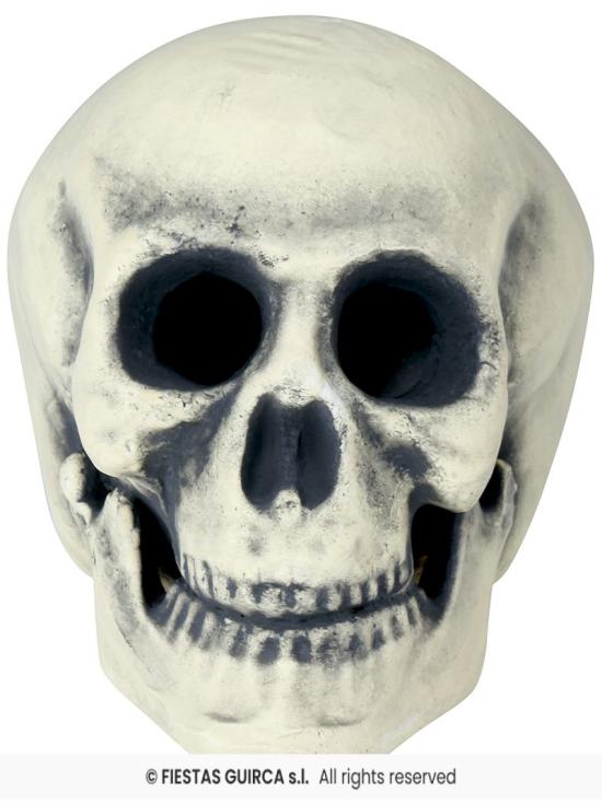 Caveira de Espuma 32 cm – Decoração Realista de Halloween