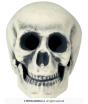 Caveira de Espuma 32 cm – Decoração Realista de Halloween