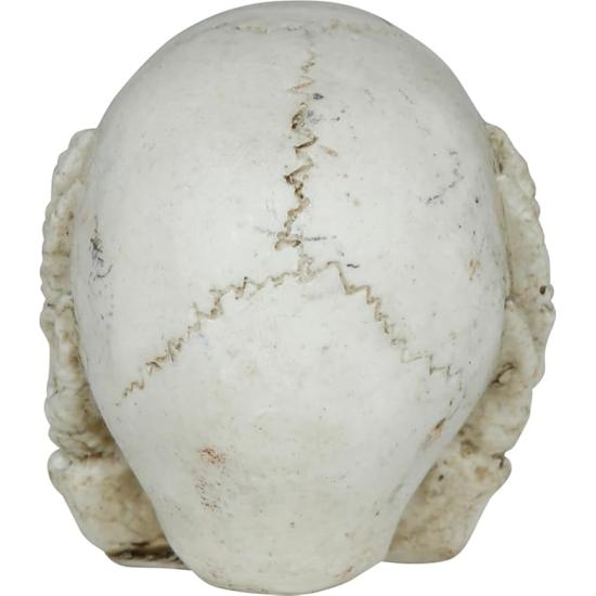 Crânio de resina (6 cm) - Decoração de Halloween para festas com tema de esqueletos e celebrações aterrorizantes - Ideal para ambientes góticos e cenários assustadores - Bege