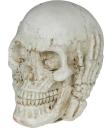 Crânio de resina (6 cm) - Decoração de Halloween para festas com tema de esqueletos e celebrações aterrorizantes - Ideal para ambientes góticos e cenários assustadores - Bege