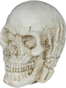 Crânio de resina (6 cm) - Decoração de Halloween para festas com tema de esqueletos e celebrações aterrorizantes - Ideal para ambientes góticos e cenários assustadores - Bege