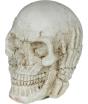 Crânio de resina (6 cm) - Decoração de Halloween para festas com tema de esqueletos e celebrações aterrorizantes - Ideal para ambientes góticos e cenários assustadores - Bege