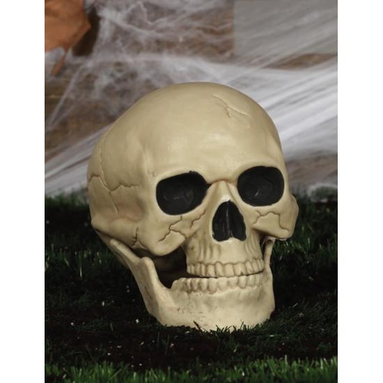 Caveira decorativa de 20 cm