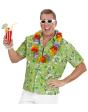 Camisa havaiana verde