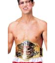 Cinturão de Campeão Mundial de Boxe