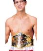 Cinturão de Campeão Mundial de Boxe