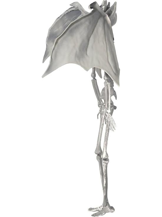Pingente de Esqueleto de Vampiro com Asas 40 cm – Decoração de Halloween