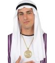 Colar com pingente de dólar de ouro para fantasia de rapper e milionário adulto