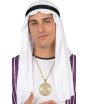 Colar com pingente de dólar de ouro para fantasia de rapper e milionário adulto