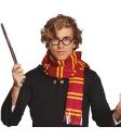 Conjunto Harry Wizard com óculos e cachecol