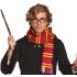 Conjunto Harry Wizard com óculos e cachecol