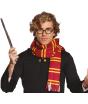 Conjunto Harry Wizard com óculos e cachecol