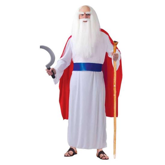 Fantasia de Druida Panoramix.adultos