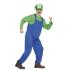 Fantasia de encanador adulto Mario Bros Luigi