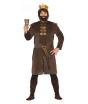 Fantasia adulta de rei guerreiro medieval