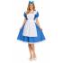 Fantasia de Alice no País das Maravilhas para Adultos (Preço Acessível)