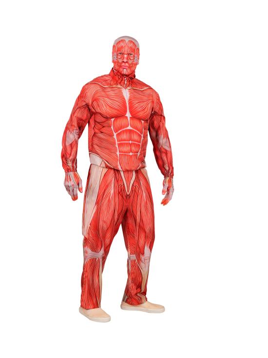 Traje de anatomia FAST COSTUME para adultos