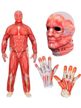 Traje de anatomia FAST COSTUME para adultos