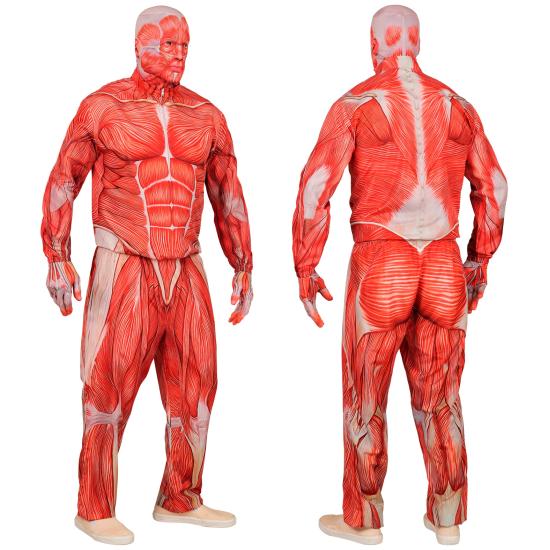 Traje de anatomia FAST COSTUME para adultos