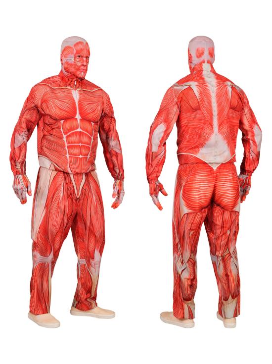 Traje de anatomia FAST COSTUME para adultos