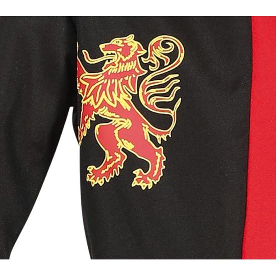 Fantasia infantil de cavaleiro medieval ** Fantasia infantil de cavaleiro medieval **