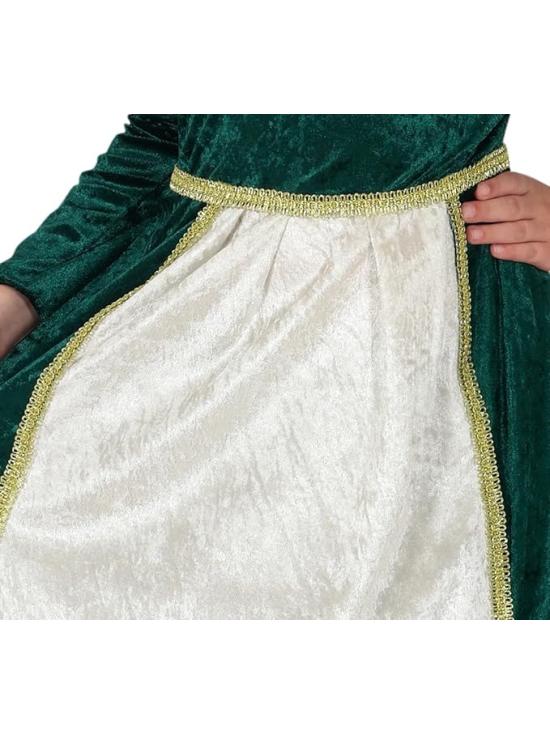 Fantasia de luxo da Fiona Shrek para meninas