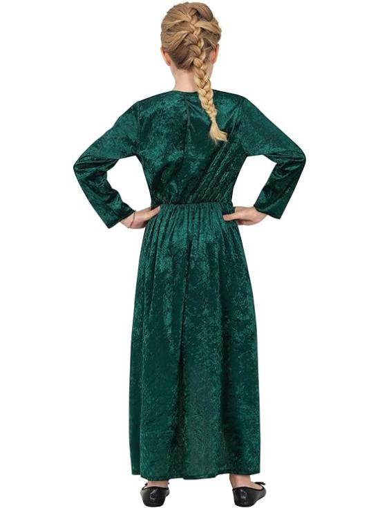Fantasia de luxo da Fiona Shrek para meninas