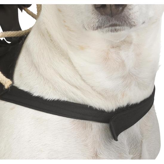 Fantasia de mascote Ghost Face® Rider