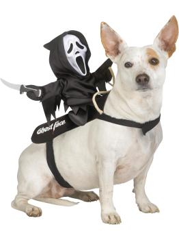 Fantasia de Motoqueiro Fantasma para animais de estimação