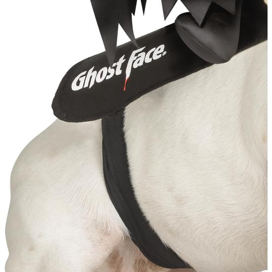 Fantasia de mascote Ghost Face® Rider