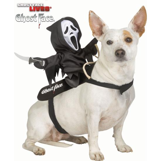Fantasia de mascote Ghost Face® Rider