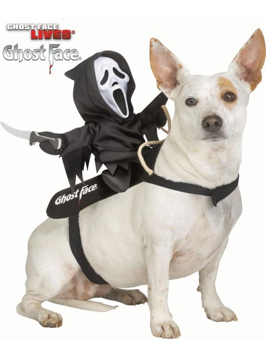 Fantasia de Motoqueiro Fantasma para animais de estimação