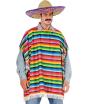 Traje mexicano masculino com poncho e chapéu multicoloridos