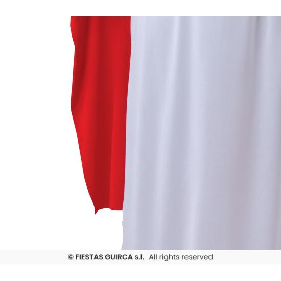 Fantasia de Druida Panoramix.adultos