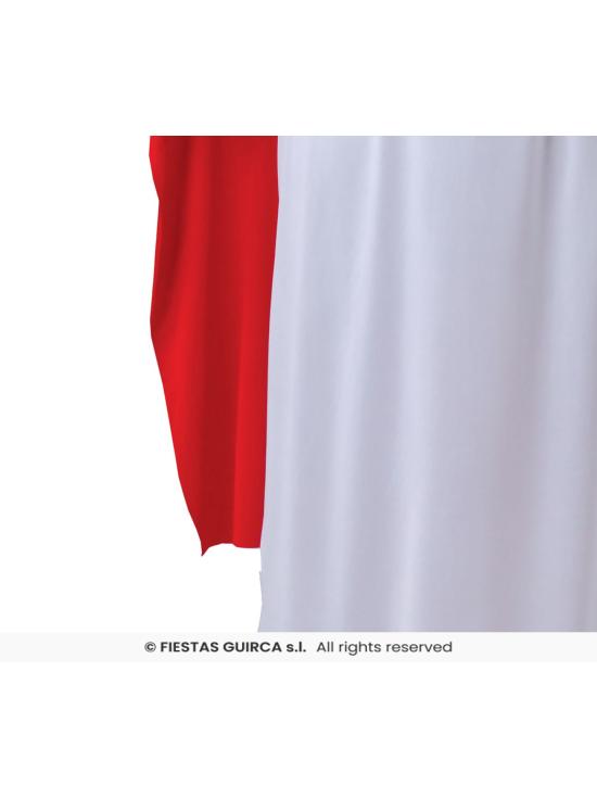 Fantasia de Druida Panoramix para Adultos