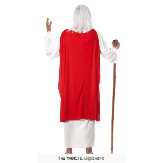 Fantasia de Druida Panoramix.adultos