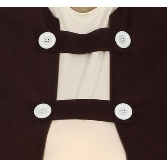 Fantasia do Shrek acessível para adultos