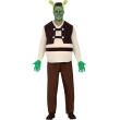 Fantasia do Shrek acessível para adultos