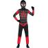 Fantasia infantil Spider Miles Moral