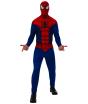 Fantasia licenciada do Homem-Aranha para adultos