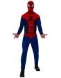Fantasia licenciada do Homem-Aranha para adultos