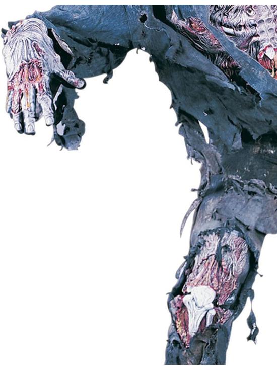 Fantasia de Zumbi Faminto 3D para Homens