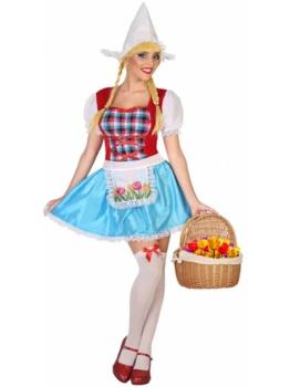 Fantasia Holandesa Feliz Adulto