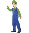 Fantasia infantil Super Mario Bros Luigi