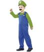 Fantasia infantil Super Mario Bros Luigi