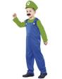 Fantasia infantil Super Mario Bros Luigi