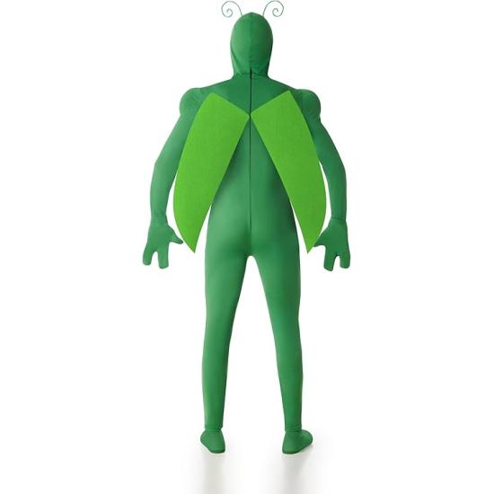 Fantasia de inseto verde para homens