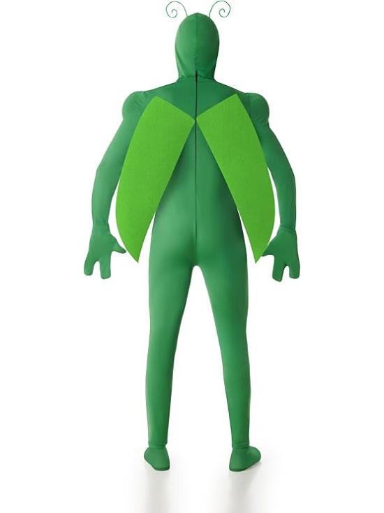 Fantasia de inseto verde para homens