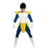 Fantasia do primo Vegeta de Dragon Ball